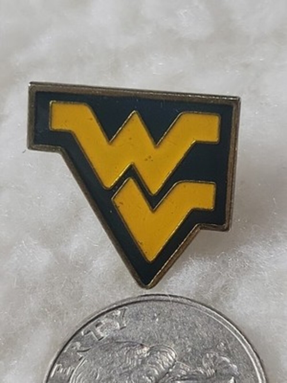 State of West Virginia WV lapel pin